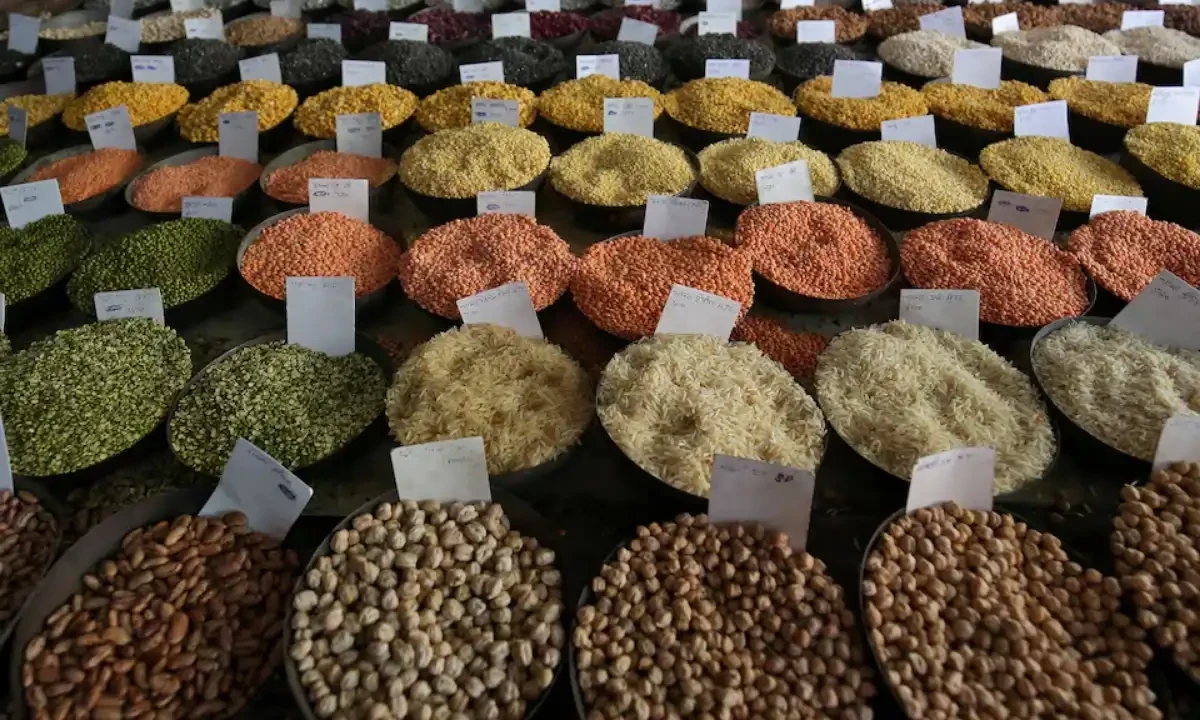 Lentils prices go up following changes in federal budget 202425