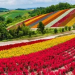 Hokkaido is a tourism and agricultural region, but Rapidus is making chips there too