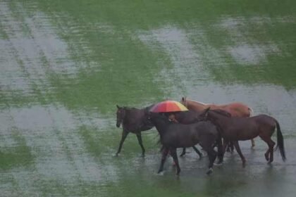 A man uses an umbrella to walk horses through a partially flooded polo field as rain pours in Kuala Lumpur, Malaysia, November 24, 2025.— Reuters