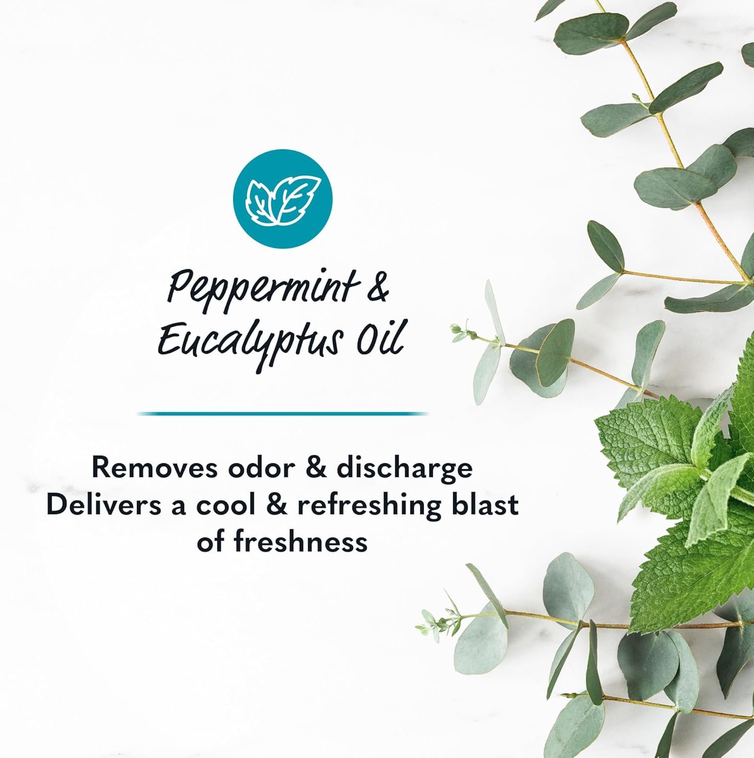 Summer's Eve, Perimenopause Cooling Wash, Removes Odor, pH balanced Feminine Wash, 15 Fl Oz - Image 4