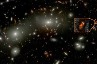 A deep space field image featuring countless galaxies, with a highlighted box showing a magnified, red, and irregularly shaped galaxy.