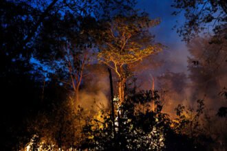 Major soy traders may exit the Amazon Soy Moratorium to keep tax incentives in Brazil, raising fears of higher deforestation.