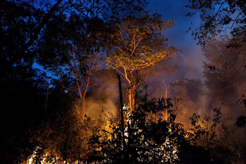 Major soy traders may exit the Amazon Soy Moratorium to keep tax incentives in Brazil, raising fears of higher deforestation.
