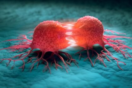 Researchers uncover how MCL1 protein links tumor survival and metabolism, offering new therapy targets and reducing heart toxicity risks.