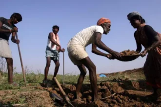 india-rural-jobs-guarantee-scheme-under-threat