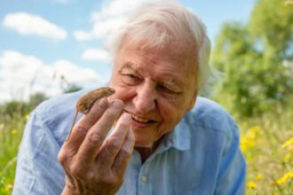 sir-david-attenborough-wild-london-home