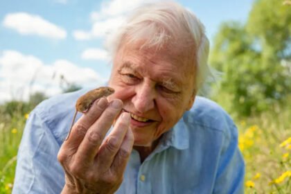 sir-david-attenborough-wild-london-home
