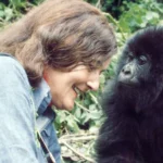dian-fossey-gorillas-murder-mystery-legacy