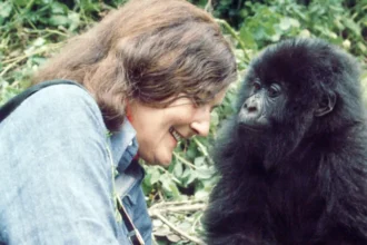 dian-fossey-gorillas-murder-mystery-legacy