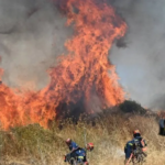 The University of Bradford describes wildfires as a "pressing global challenge"