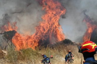The University of Bradford describes wildfires as a "pressing global challenge"