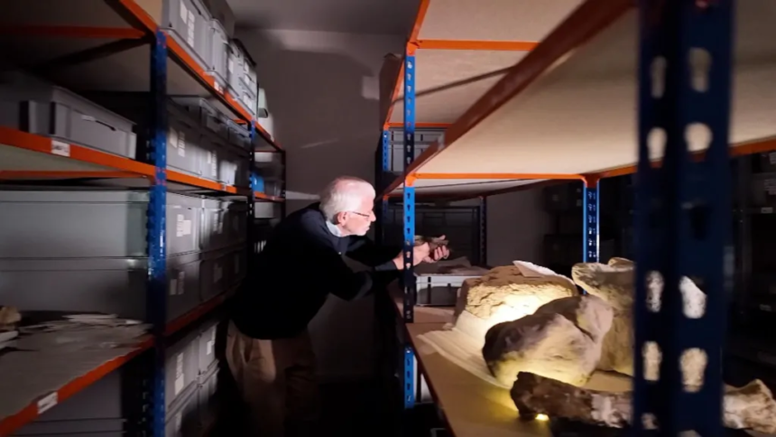 Dr Jeremy Lockwood meticulously trawls through the archives on the Isle of Wight studying thousands of fragments of dinosaur bones