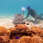 Around 90% of consumer goods are carried across the world on huge container ships.