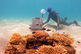 Around 90% of consumer goods are carried across the world on huge container ships.