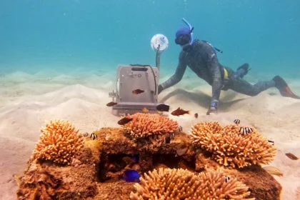 Around 90% of consumer goods are carried across the world on huge container ships.