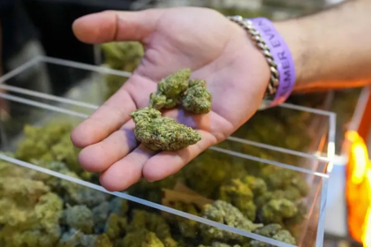 Donald Trump speaking at a podium about expanding cannabis access and reclassifying marijuana to Schedule III in the U.S.