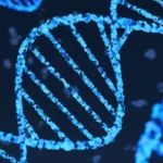 Google DeepMind’s AlphaGenome Unlocks DNA Mysteries
