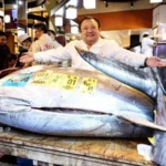 Bluefin tuna Tokyo auction record price