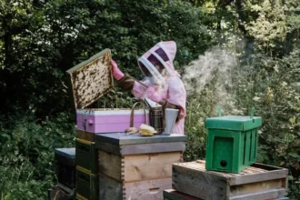 Camp Bestival 2026 headliners