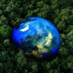 Earth observation uses satellites and AI to monitor ecosystems, track endangered species, and guide global biodiversity conservation efforts.