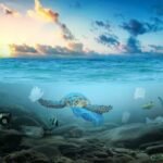 The High Seas Treaty has entered into force, creating new rules to protect international waters and strengthen global ocean governance.