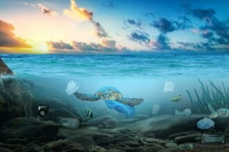 The High Seas Treaty has entered into force, creating new rules to protect international waters and strengthen global ocean governance.