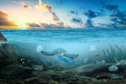 The High Seas Treaty has entered into force, creating new rules to protect international waters and strengthen global ocean governance.