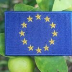 The EU must invest €70bn per year in climate adaptation to cut climate risks, protect economies, and strengthen long term resilience.