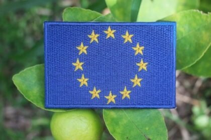 The EU must invest €70bn per year in climate adaptation to cut climate risks, protect economies, and strengthen long term resilience.