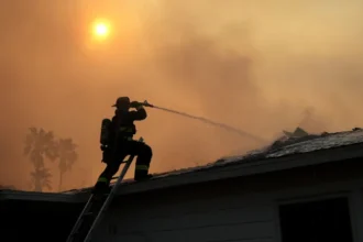 Global temperatures 2025