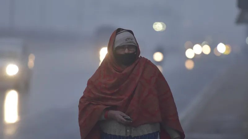 Northern India cold wave