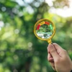 PEACE-Air brings cross-border research and community action to reduce air pollution and protect public health across Ireland.