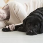 Kyrexa is advancing kinder cancer care for dogs through comparative oncology, with rimcazole showing strong results and high quality of life.