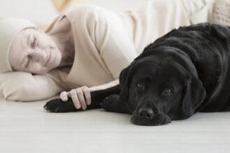 Kyrexa is advancing kinder cancer care for dogs through comparative oncology, with rimcazole showing strong results and high quality of life.