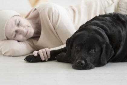 Kyrexa is advancing kinder cancer care for dogs through comparative oncology, with rimcazole showing strong results and high quality of life.