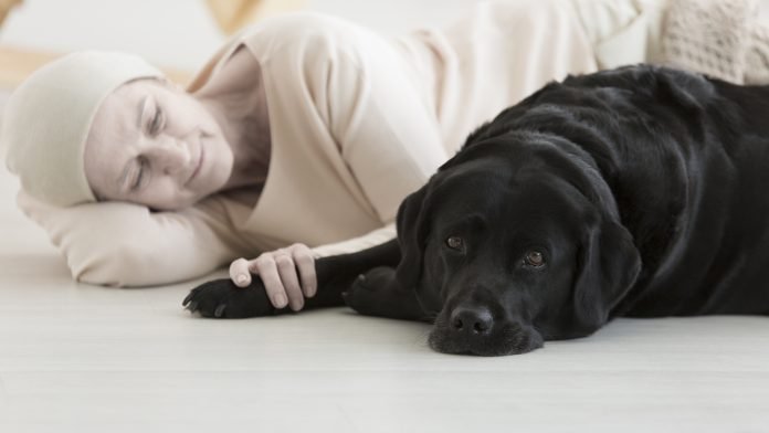 Kyrexa is advancing kinder cancer care for dogs through comparative oncology, with rimcazole showing strong results and high quality of life.