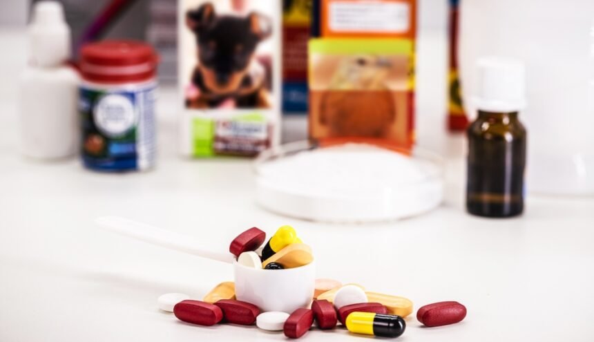 The VMD is introducing new veterinary medicines packaging rules in 2026 to reduce regulatory burden while maintaining safety standards.