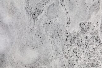 PFAS are known as forever chemicals because they persist in nature. Scientists are developing safer ways to track, remove, and destroy them.