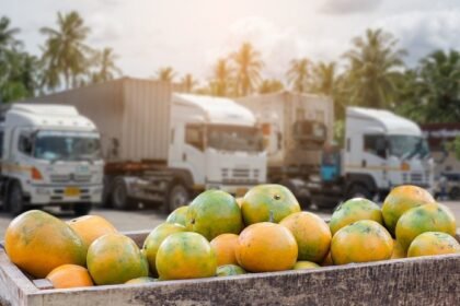 Sustainable Foods 2026 in London brings global leaders together to tackle health, food security, net zero, and regenerative agriculture.