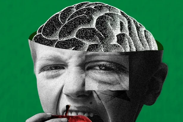 Fibre and Brain Health: How a High-Fibre Diet Protects Cognition