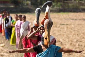 How local women saved the endangered hargila stork