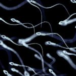 The weird reasons there still isnt a male contraceptive pill (1)