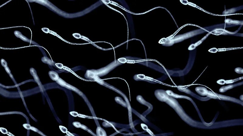 The weird reasons there still isnt a male contraceptive pill (1)