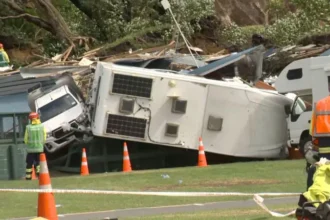 New Zealand landslides