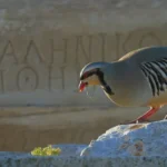 archaeological sites protecting biodiversity
