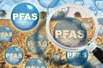 crcCARE leads global PFAS research, monitoring, and remediation with pfasCARE™, mobile units, and soil management for safer environments.