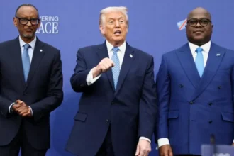 Africa and the New World Order: At the Table or On the Menu?