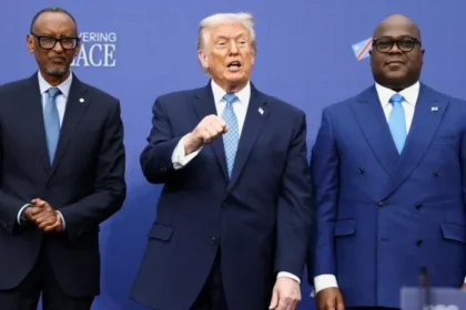 Africa and the New World Order: At the Table or On the Menu?