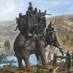 Archaeologists in Spain discover an elephant bone near Cordoba, possibly linked to Hannibal’s legendary war elephants. First concrete proof of Punic war animals.