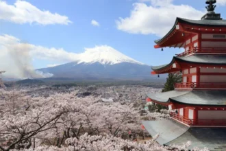Fujiyoshida Cancels Cherry Blossom Festival Due to Tourist Misbehavior